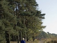 NL, Noord-Brabant, Valkenswaard, Malpiebergsche Heide 12, Saxifraga-Jan van der Straaten